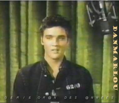 ELVIS PRESLEY Jailhouse Rock 1957.JPG